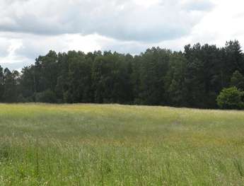 Sprzedam działkę/grunt 1407 m2 - MARCINKOWO